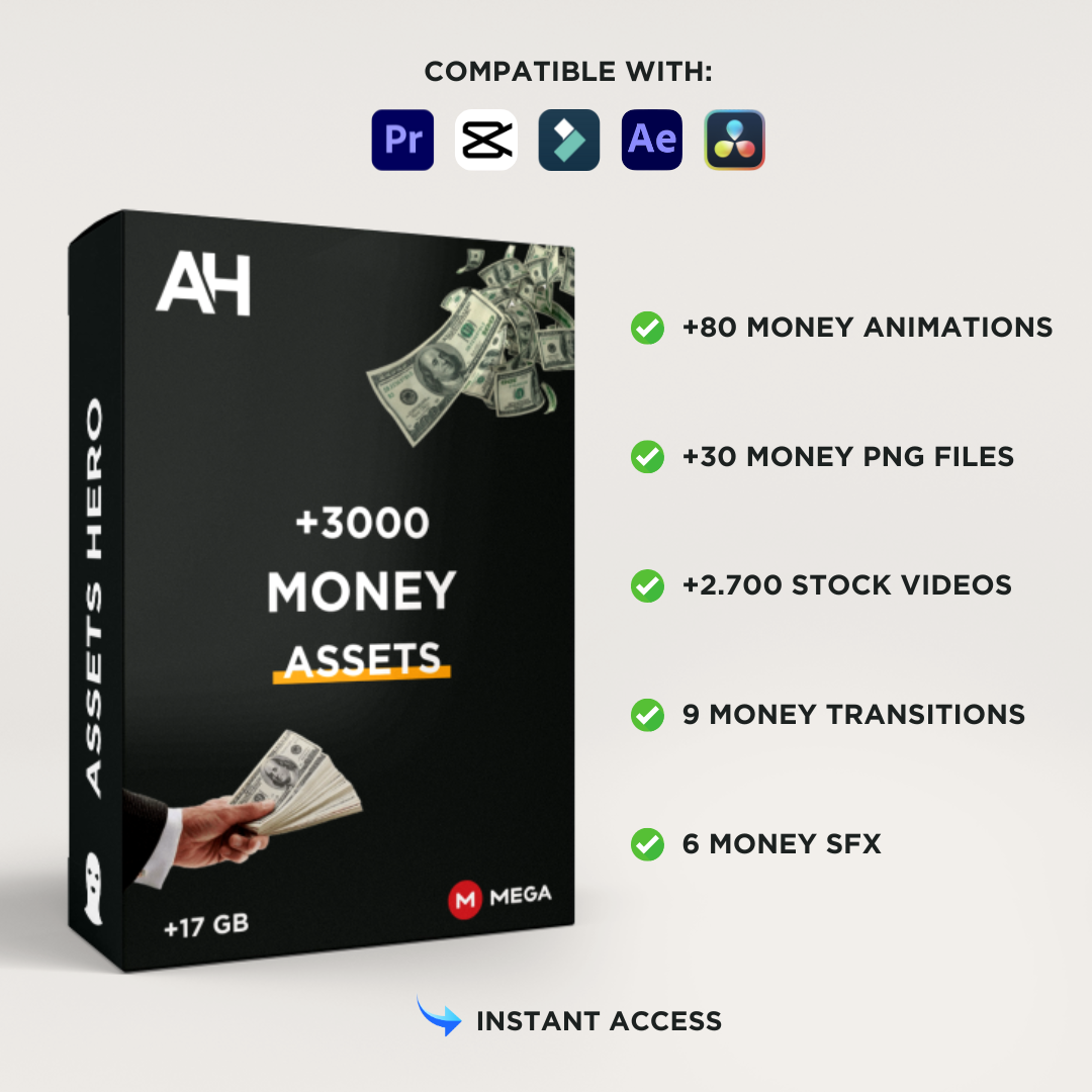+3000 Money Assets | +17 GB