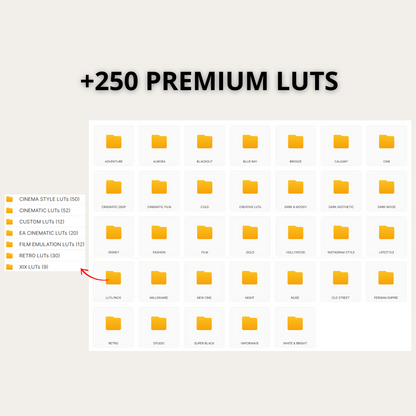 +50.000 Video Assets (+770 GB) | + OTHER PACKS