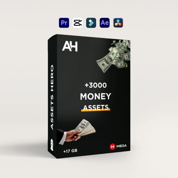 +3000 Money Assets | +17 GB
